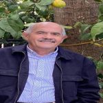 الطُغمة الانقلابية الليبرالية