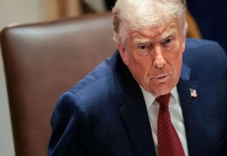 حملة ترامب ضد التعبير