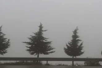 تدني مدى الرؤية الأفقية