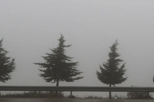 تدني مدى الرؤية الأفقية