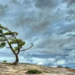 السبت نشاط على الرياح