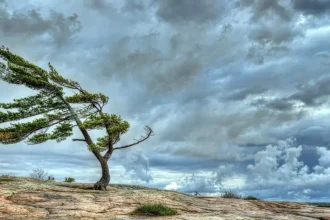 السبت نشاط على الرياح