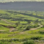 ربيع الأردن يخطف القلوب