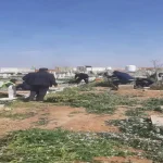 نظافة وصيانة مرافق مادبا