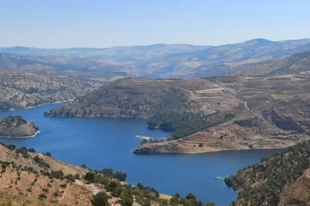 الموسم المطري يعزز المخزون