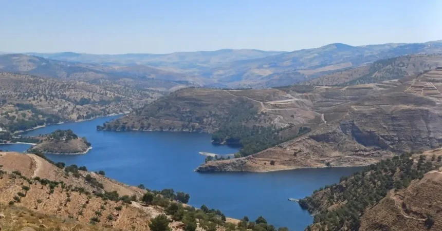 الموسم المطري يعزز المخزون