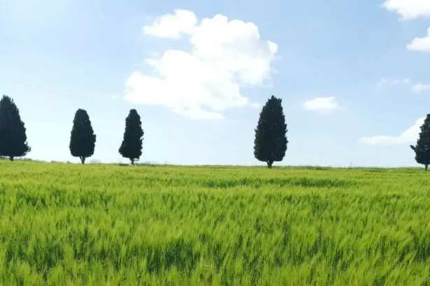 أجواء باردة اليوم وارتفاع غدا