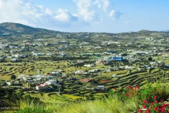 أبها: عروس الجبل الأخضر ووجهة الطبيعة في السعودية