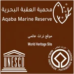 النجاح يبدأ بضمان الاستدامة.