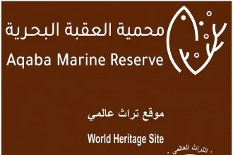 النجاح يبدأ بضمان الاستدامة.