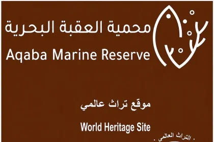 النجاح يبدأ بضمان الاستدامة.
