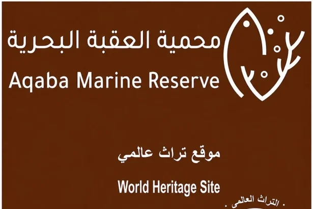 النجاح يبدأ بضمان الاستدامة.