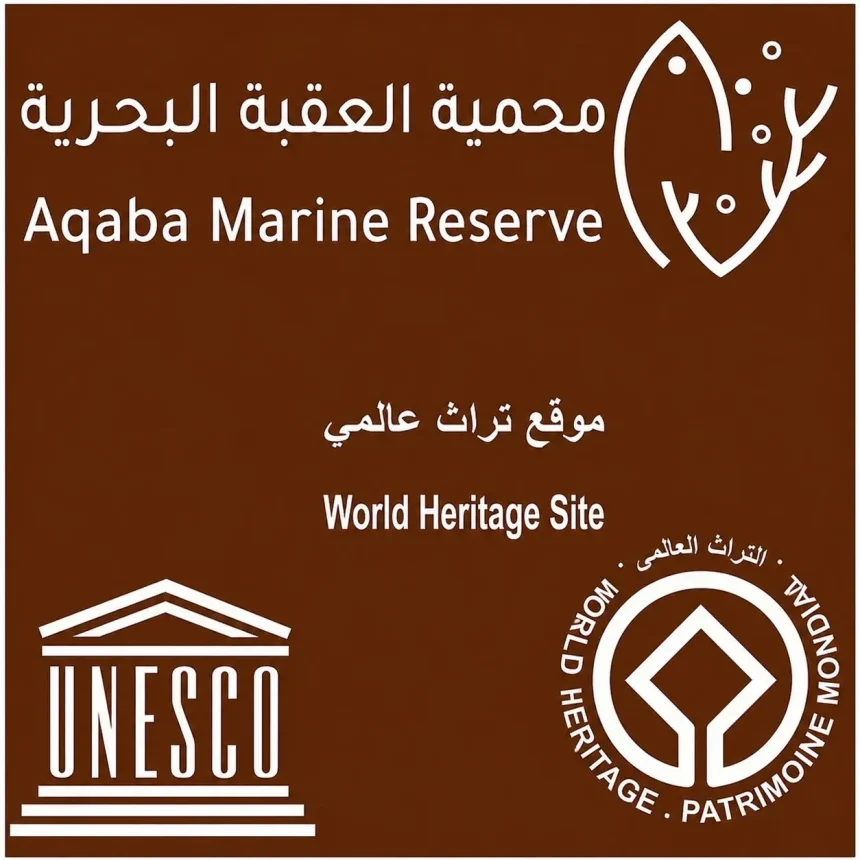النجاح يبدأ بضمان الاستدامة.
