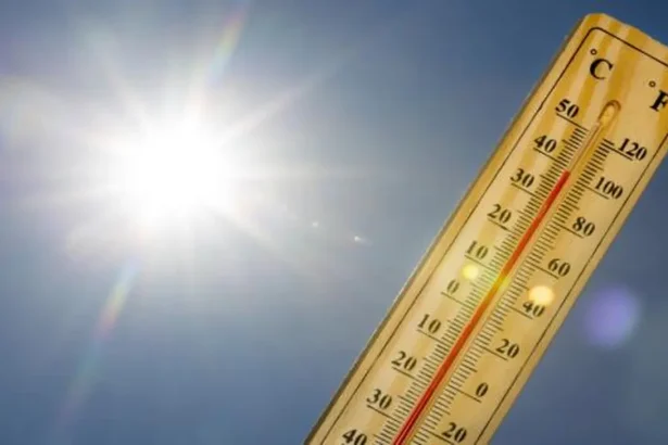 دير علا تسجل أعلى درجة