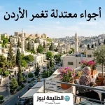 أجواء معتدلة تغمر الاردن