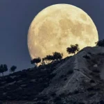 قمر الحصادين سماء الأردن يشرق بشكل بدر مكتمل وضخم خلف تلة جبلية وأشجار