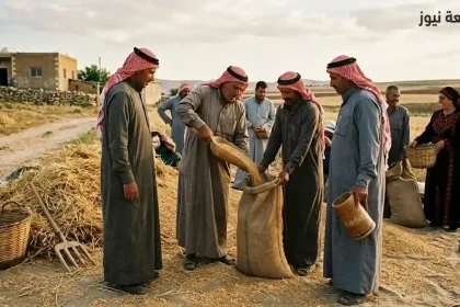 مجموعة مزارعين بالزي التراثي حول كومة القمح أثناء الكيل بالصاع الخشبي وتعبئة أكياس الخيش على البيدر.