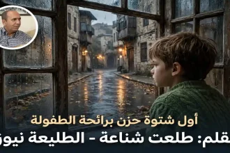 طفل ينظر من نافذة خشبية مبللة إلى حارة عمانية قديمة ماطرة يجسد حزن أول شتوة برائحة الطفولة