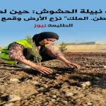 امرأة بحجاب وسترة أمان تزرع شتلة في أرض جافة، مجرفة بجانبها.